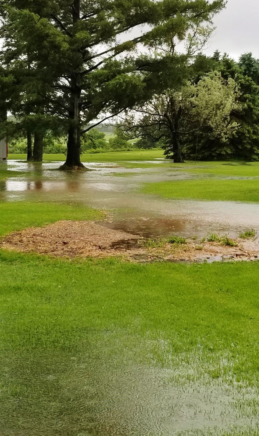 Flooded yard